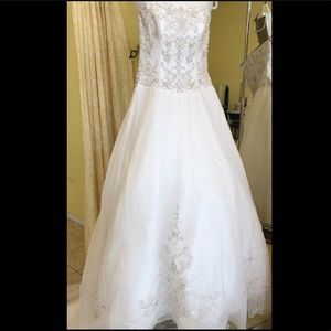 Moonlight Bridal-Wedding/Quinceañera Gown